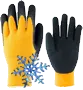 Categoria Imblanite iarna