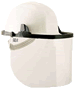 Categoria Viziere